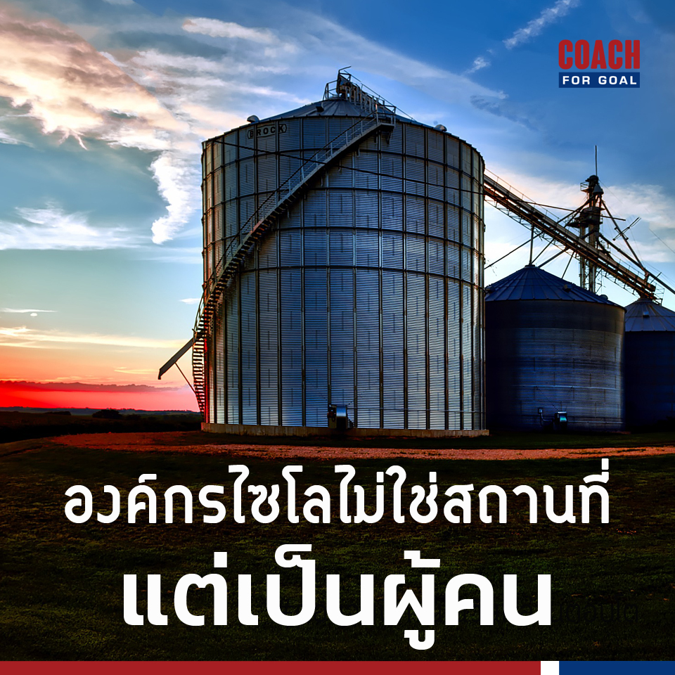 องค์กรไซโล (Silo Organization) ไม่ใช่สถานที่ แต่เกิดจากผู้คน